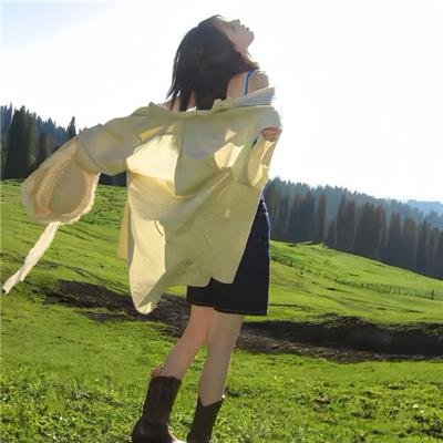 华盛顿的盔甲第一卷：旅程
